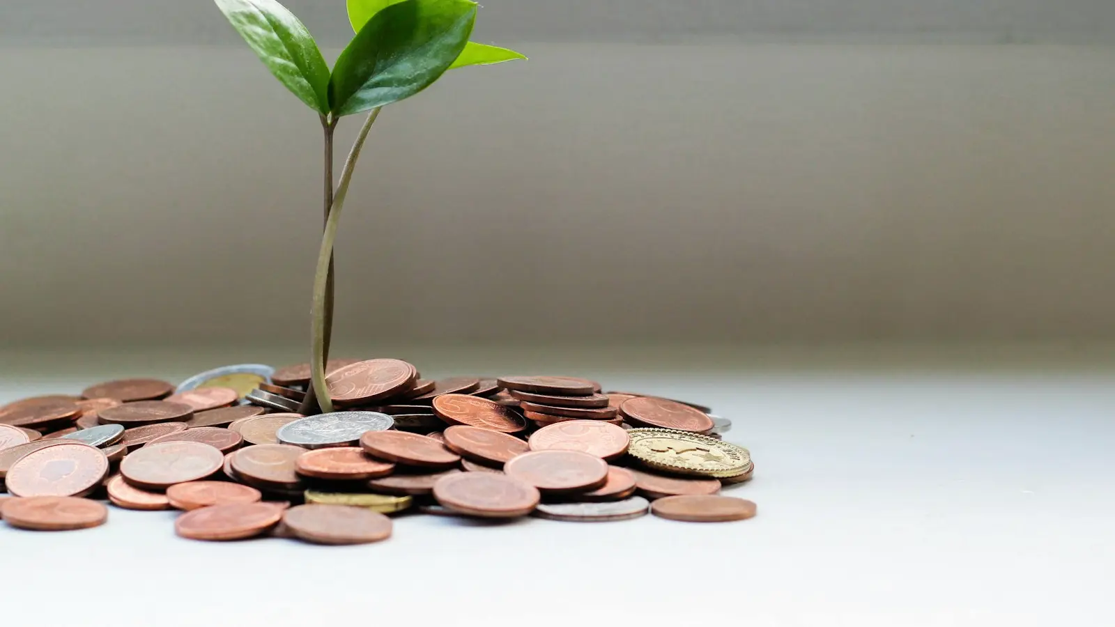 Growth, funding and transactions